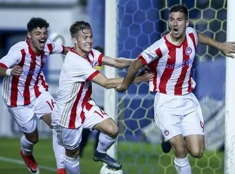 οσφπ νικ κ17